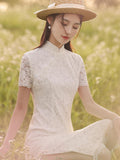 กี่เพ้าความลึกลับอันเย้ายวน